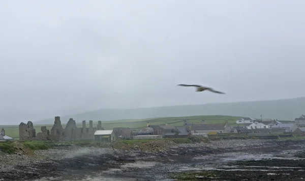 Las ruinas del palacio del conde en Birsay, Orcadas — Foto de Stock