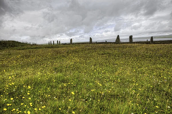 Pierścień Brodgar w Orkady z polne kwiaty — Zdjęcie stockowe