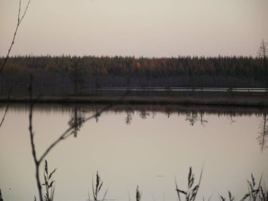 Rusya 'nın kuzeyinde bir su gölü