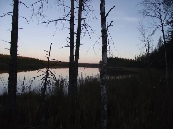 Rusya 'nın kuzeyinde bir su gölü