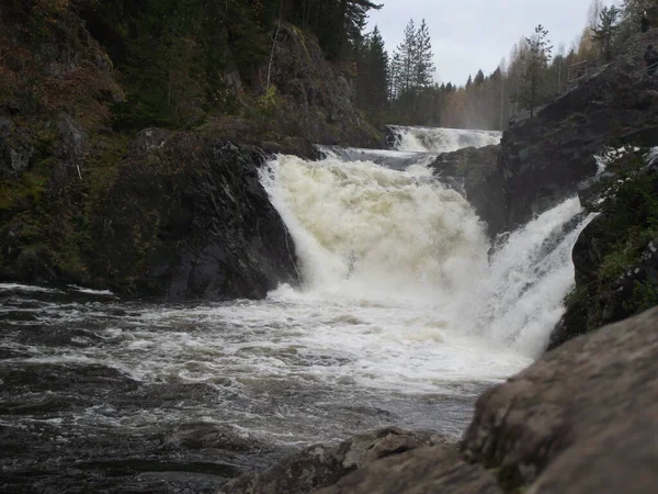 Karelya 'da Kivach şelalesi