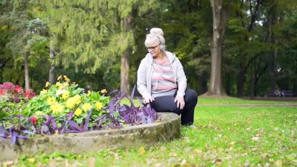 Starsza Nowoczesna Kobieta Pod Opieką Kwietnika Roślin Kwiatów Dojrzała Kobieta — Wideo stockowe