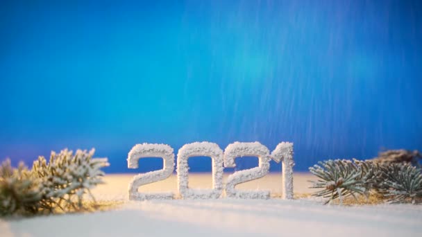Zavřít Datum Nový Rok2021 Padá Sníh Padá Sníh Větvích Vánočního — Stock video