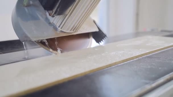Electric Tile Cutter Machine Cutting Ceramic Tiles Stone Industrial Ceramic — Stock Video