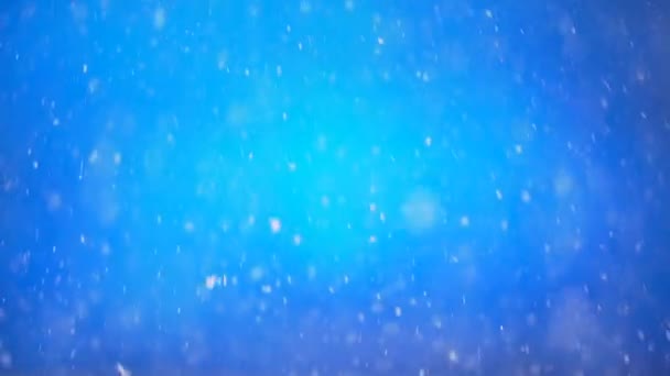 Skutečný sníh padá na modré pozadí. Zpomalený pohyb. — Stock video