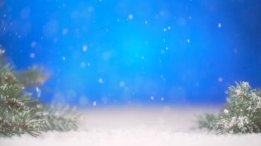 Gerçek kar kozalaklı ağaç dallarıyla düşer.. 