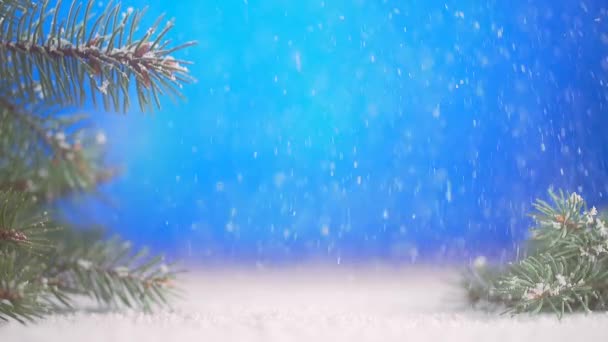 Vraie neige tombe avec des branches de conifères arbre. — Video