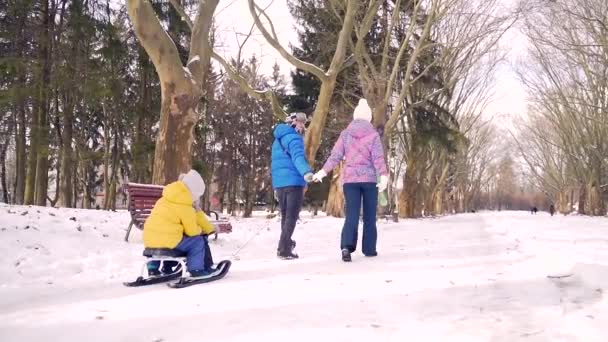 幸福的新婚夫妇 他们带着年幼的孩子 冬天背着雪橇在雪地的公园里散步 在周末 年轻的丈夫和妻子带着年幼的儿子在一起消磨时光 — 图库视频影像