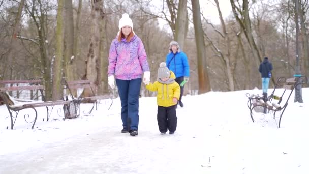 Glückliches Ehepaar Mit Kleinen Kindern Beim Schlittenfahren Einem Verschneiten Park — Stockvideo