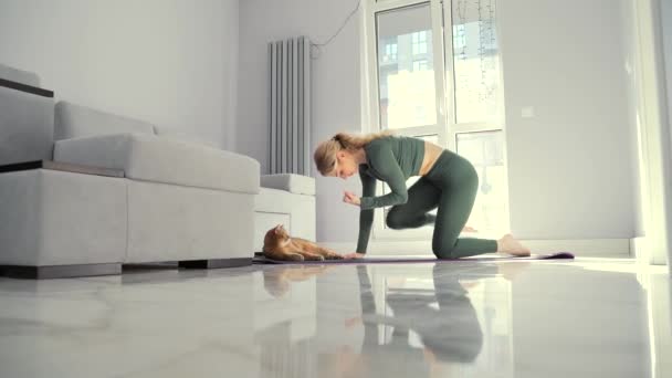 年轻迷人的运动健美女子从事体育锻炼 女人们在客厅的软垫上练习瑜伽 带着一只有趣的猫在客厅里玩耍 舒张或普拉提减肥 — 图库视频影像