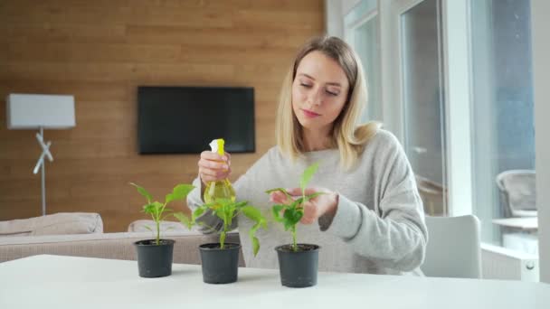 Fiatal Otthon Gondozza Növényeket Palánták Gondozása Gondozása Virágot Vagy Növényzetet — Stock videók