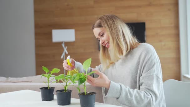 Die Junge Frau Kümmert Sich Hause Pflanzen Anbau Und Pflege — Stockvideo