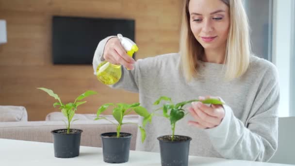 Jonge Vrouw Zorgt Thuis Voor Planten Groeien Verzorgen Van Zaailingen — Stockvideo