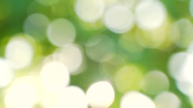 Soyut bulanık arka plan yaz konsepti. Güneş ağaçların arasından geçiyor. Parlak yeşil yaprak fişeklerinden oluşan soyut bir çukur. Taze bahar ağaçları ve doğada parıldayan yumuşak ışık.