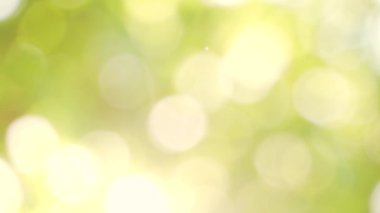 Soyut bulanık arka plan yaz konsepti. Güneş ağaçların arasından geçiyor. Parlak yeşil yaprak fişeklerinden oluşan soyut bir çukur. Taze bahar ağaçları ve doğada parıldayan yumuşak ışık.