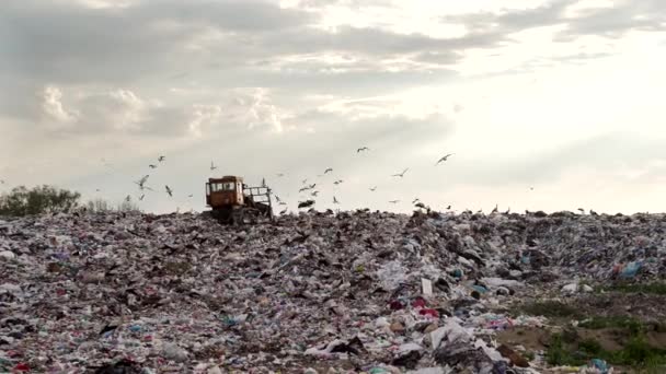 Garbage Dump Bulldozer Roule Vers Haut Moving Trash Travaux Équipements — Video