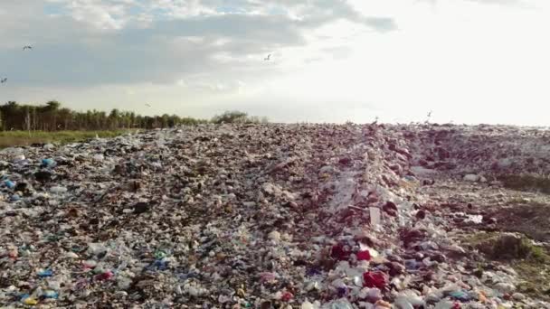 Grande Décharge Vue Aérienne Poubelle Montagne Avec Oiseaux Animaux Pollution — Video