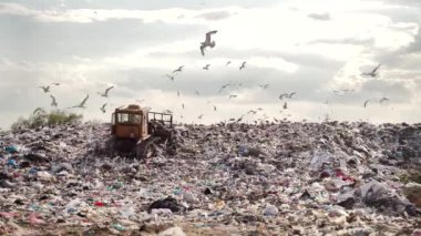 Çöp yığını. Buldozer, Trash 'i hareket ettiriyor. Pompa poligonunda özel ekipman işi. Belediye çöplüğü. Şehir. Etrafta leylekler ve martılar uçuşuyor. makineler israfı sıralar