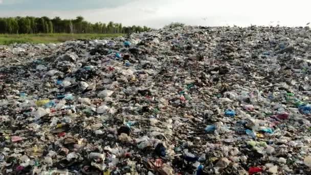 Grande Décharge Vue Aérienne Poubelle Montagne Avec Oiseaux Animaux Pollution — Video