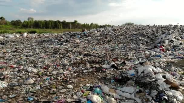 Grande Décharge Vue Aérienne Poubelle Montagne Avec Oiseaux Animaux Pollution — Video