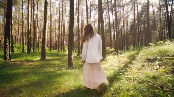 Feliz Jovem Mulher Alegre Fugindo Câmera Livre Floresta Pinheiros Visão — Vídeo de Stock