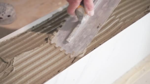 Male Worker Professional Mounts Ceramic Tile Notched Trowel Spatula Glue — Stock Video