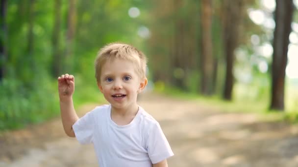 若い幸せな陽気な子供の肖像画を閉じます 森の中を走る子供 楽しい走りをしている男の子 路地公園の森でカメラを見て 幸福幼稚園ブロンド青い目笑顔幼児が前方に来る — ストック動画