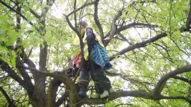 Yaz kampındaki çocuklar ağaçlara tırmanır. Orman anaokulundaki anaokulu öğrencilerinin tatili. Park Ormanları Okulu 'nda oynayan mutlu çocuklar. İskandinav, eğlence. Açık hava maceraları