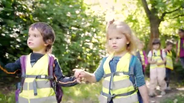 小さな子供たちは森の中をハイキングします 野生の幼稚園旅行の子供たちが一緒に森の山の中を歩いています 屋外で小さな就学前のトレッキング中 旅行休暇 サマーキャンプ — ストック動画