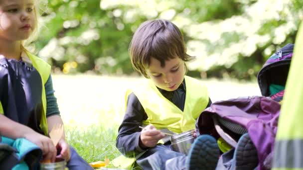 夏のキャンプでピクニック中の小さな男の子は 芝生の上の子供たちのグループの間の芝生の上に座っている魔法瓶から食べ物を食べる 旅行の後に休憩 子供の幼稚園で山の森の中をハイキング — ストック動画