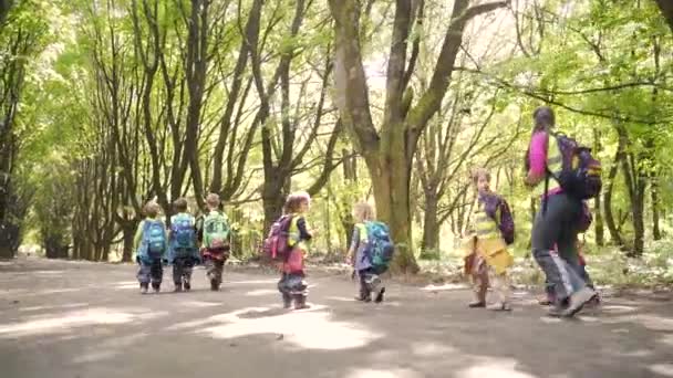 路地公園の幼稚園のハイキングに沿って歩いている小さな子供たちのグループ 子供たちは夏の森のキャンプを歩く 服の冒険旅行の森の中でバックパック付きの就学前 木造校舎屋外 旅行休暇 — ストック動画