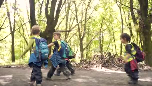 Groep Kleine Kinderen Wandelen Langs Steegje Park Kleuterschool Wandeling Kinderen — Stockvideo