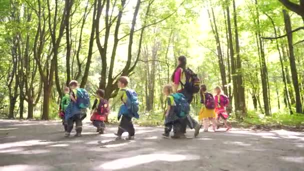 Grupo Niños Pequeños Caminando Largo Del Callejón Parque Jardín Infantes — Vídeo de stock