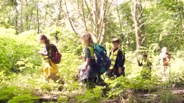 Los Niños Pequeños Del Grupo Van Una Caminata Bosques Los — Vídeo de stock