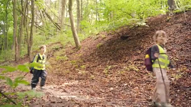 Los Niños Pequeños Del Grupo Van Una Caminata Bosques Los — Vídeo de stock