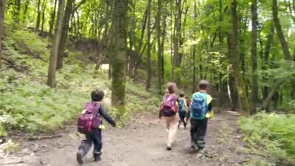 Ακολουθώντας Μια Ομάδα Παιδιών Που Περπατούν Στο Δάσος Μικρά Παιδιά — Αρχείο Βίντεο
