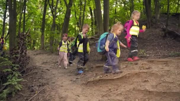 Groupe Petits Enfants Faire Une Randonnée Dans Les Bois Les — Video