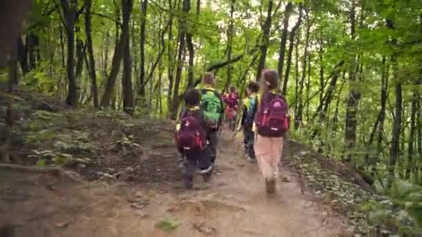 Egy Csoportos Kölyköt Követek Akik Erdőben Sétálnak Kisgyerekek Túrázni Mennek — Stock videók