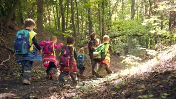 跟着一群在森林里散步的孩子们 小孩子们去远足 夏令营野营幼儿园在木山中旅行 远足幼稚园徒步旅行到户外露营度假学校 — 图库视频影像