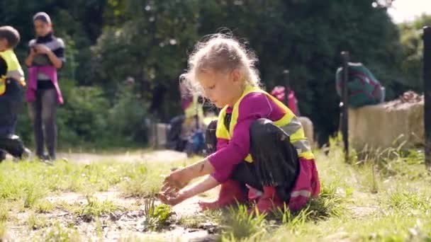 森の幼稚園 公園や森の沼で遊ぶ子供たちの幸せなプリスクールグループ 屋外の小さな子供は森の中で泥と遊ぶのが楽しいです ハイキングだ サマーキャンプ好奇心 自然の中でのレジャー — ストック動画