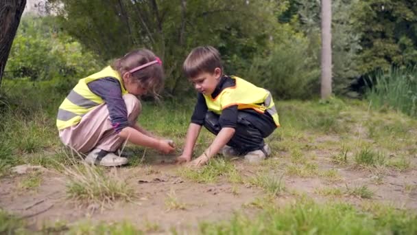 Przedszkole Leśne Szczęśliwy Przedszkolny Grupa Dziecko Bawię Się Bagno Park — Wideo stockowe