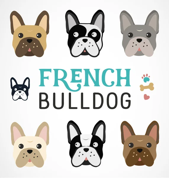 Lindo Bulldog francés conjunto — Vector de stock