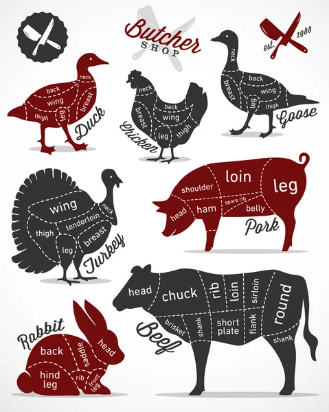 Guía de diagramas para cortar carne en estilo vintage — Vector de stock