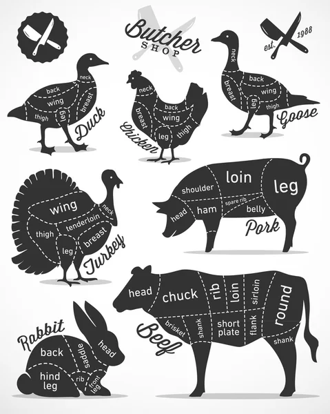 Diagram Guide for Cutting Meat in Vintage Style — Stock Illustration Diagram Guide for Cutting Meat in Vintage Style Stock Vector