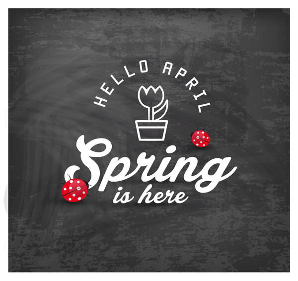 Spring is Here Typography Background on Chalkboard
