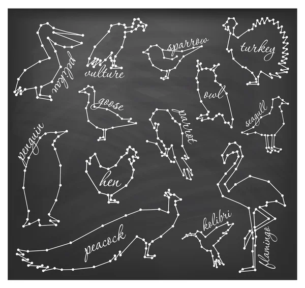 Línea abstracta e ilustraciones vectoriales del conjunto de aves — Archivo Imágenes Vectoriales