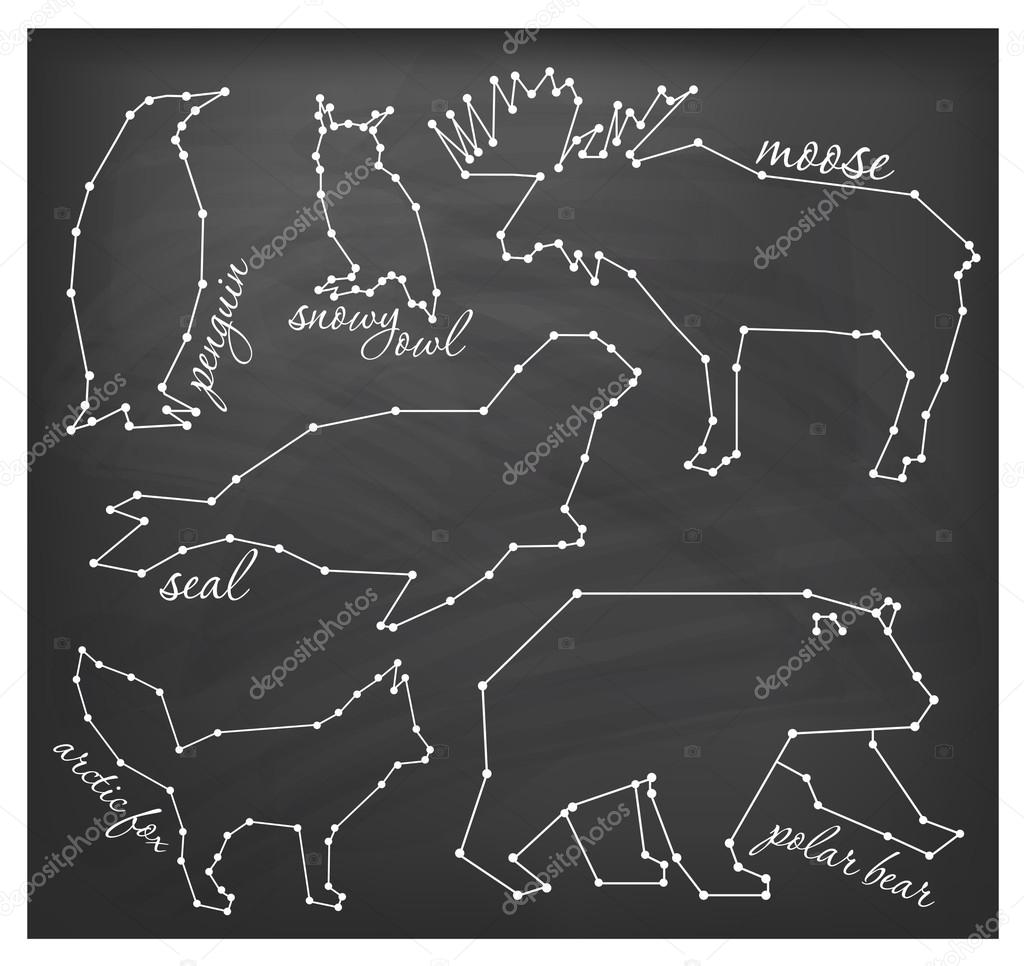 Abstract Line and Dot Arctic Animals Set Vector Illustrations