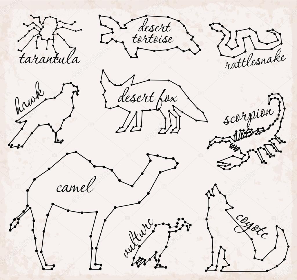 Abstract Line and Desert Animals Set Vector Illustrations. Camel, Scorpion, Desert Fox, Coyote, Hawk, Tarantula, Snake, Desert Tortoise.