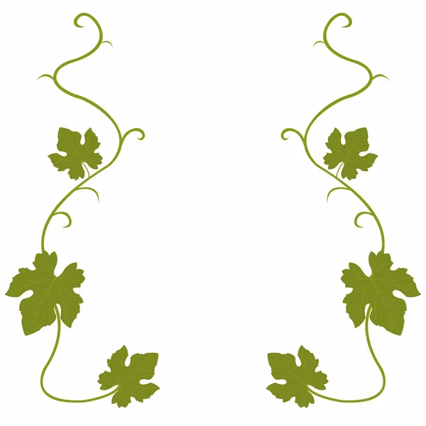 üzüm asma arka plan