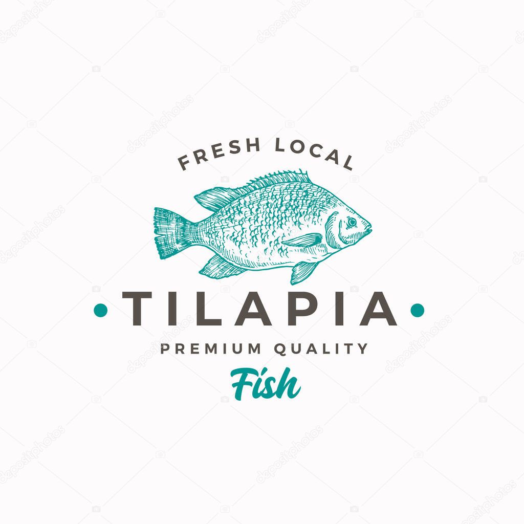 Fresh Local Tilapia. Abstract Vector Sign, Symbol or Logo Template. Hand Drawn Fish Sketch Silhouette with Modern Typography. Vintage Vector Emblem. Isolated.